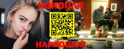 гидропоника Будённовск