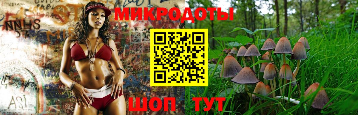 Галлюциногенные грибы Psilocybine cubensis  Вход с VPN  Галлюциногенные грибы Cubensis  Березники 