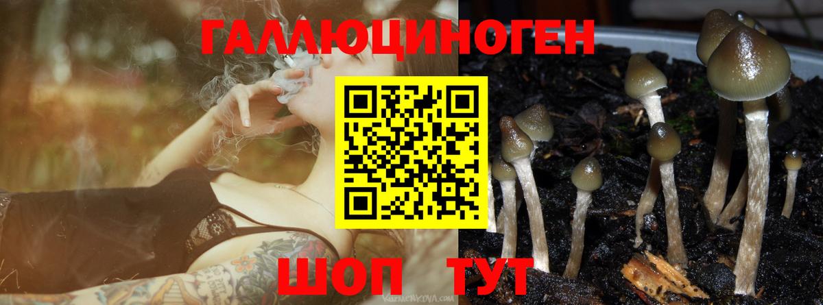 Псилоцибиновые грибы GOLDEN TEACHER Березники